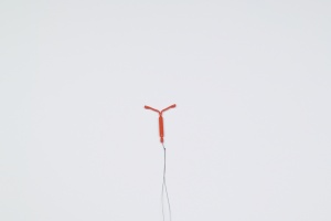 a IUD with white background very zoomed out