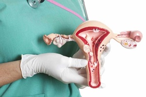 endometrial risks