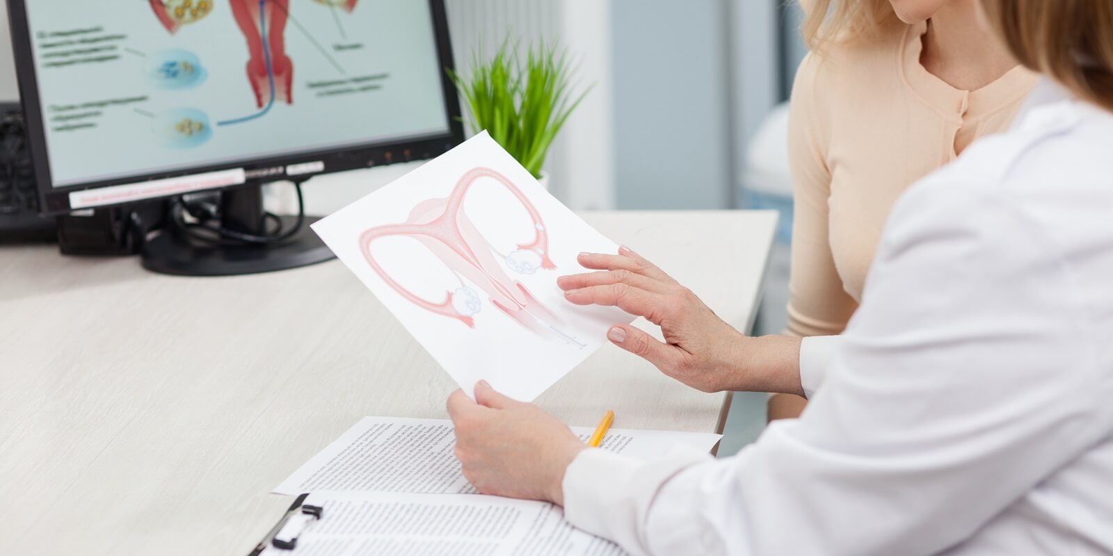 Raleigh, NC contraceptive care gynecologist reviews uterus anatomy with patient
