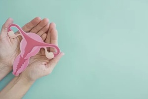 hands holding uterus, female reproductive system