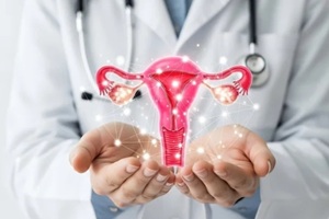 doctor holding uterus model with connectivity network in clinic
