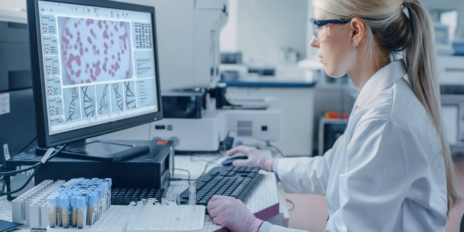 female scientist sits at his workplace in laboratory uses personal computer which screen shows analyze of DNA - breast health